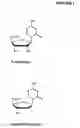 Fig. 02 - COMPOSITIONS AND METHODS FOR TREATING DISEASES THROUGH INHIBITION OF DNA METHYLATION AND HISTONE DEACETYLASE