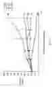 Fig. 07 - Hepatocyte growth factor (HGF) binding antibody