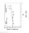 Fig. 33 - Leptin-related peptides