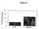 Fig. 06 - Compositions and Methods for Treating Diseases Associated With Phlpp