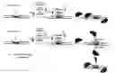 Fig. 01 - Compounds and Their Use for Specific and Simultaneous Inhibition of Genes Involved In Diseases and Related Drugs