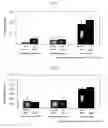 Fig. 05 - Cartilage regeneration promoting agent