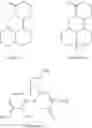 Fig. 02 - Composition and its use as effective constituent of a medicine having anti-angiogenesis synergy effect