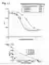 Fig. 06 - Drug composition and method for treating malaria and malignancy