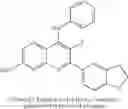 Fig. 55 - Compositions and methods for inhibiting TGF-β