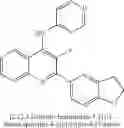 Fig. 63 - Compositions and methods for inhibiting TGF-β