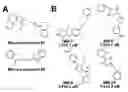 Fig. 01 - Thioxothiazolidinone Compounds For Use As Pharmaceuticals