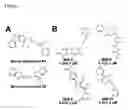 Fig. 02 - Thioxothiazolidinone Compounds For Use As Pharmaceuticals
