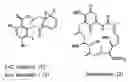 Fig. 01 - Novel Macrocycles and Uses Thereof