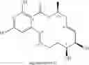 Fig. 71 - Novel Macrocycles and Uses Thereof