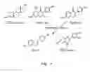 Fig. 02 - Phytoestrogenic Formulations for Alleviation or Prevention of Neurodegenerative Diseases