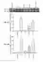 Fig. 05 - Phytoestrogenic Formulations for Alleviation or Prevention of Neurodegenerative Diseases