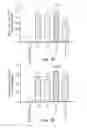 Fig. 09 - Phytoestrogenic Formulations for Alleviation or Prevention of Neurodegenerative Diseases