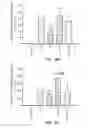 Fig. 11 - Phytoestrogenic Formulations for Alleviation or Prevention of Neurodegenerative Diseases