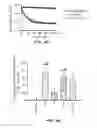 Fig. 13 - Phytoestrogenic Formulations for Alleviation or Prevention of Neurodegenerative Diseases