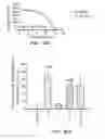 Fig. 15 - Phytoestrogenic Formulations for Alleviation or Prevention of Neurodegenerative Diseases