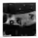 Fig. 02 - Thermoplastic resin composition and molded body