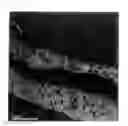 Fig. 03 - Thermoplastic resin composition and molded body