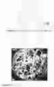 Fig. 02 - Polyolefins prepared from a metallocene and a new single site catalyst component in a single reactor