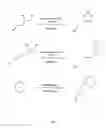 Fig. 04 - Energetic polyphosphazenes