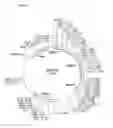 Fig. 02 - Purification of Insulin-Like Material by Reverse Phase Chromatography