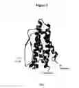 Fig. 04 - Modified Human Growth Hormone Polypeptides and Their Uses