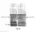 Fig. 09 - Selection of fibronectin scaffolds using nucleic acid-protein fusions