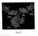 Fig. 13 - Selection of fibronectin scaffolds using nucleic acid-protein fusions