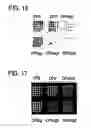 Fig. 16 - Selection of fibronectin scaffolds using nucleic acid-protein fusions