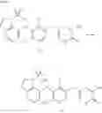 Fig. 24 - Phenylacetic acid compounds
