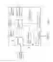 Fig. 02 - Wireless transmission apparatus for transmitting physiological parameters and method thereof