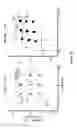 Fig. 04 - Method and apparatus for assessing proprioceptive function