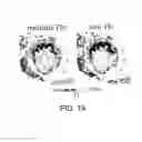 Fig. 13 - Methods and Systems of Analyzing Clinical Parameters and Methods of Producing Visual Images
