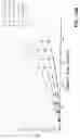Fig. 13 - Methods and Systems for Determining Volume Flow in a Blood or Fluid Conduit, Motion, and Mechanical Properties of Structures Within the Body