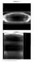 Fig. 18 - Device for the treatment of mammalian tissues