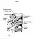 Fig. 03 - Methods of employing calcium phosphate cement compositions and osteoinductive proteins to effect vertebrae interbody fusion absent an interbody device