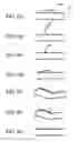 Fig. 06 - Device and method for joining vessels in anastomosis