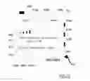 Fig. 13 - Methods and systems for semi-automatic adjustment of medical monitoring and treatment