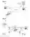 Fig. 02 - System and method for operating a wireless medical device interrogation network
