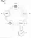 Fig. 06 - System and method for operating a wireless medical device interrogation network