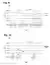Fig. 07 - System and method for operating a wireless medical device interrogation network