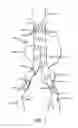 Fig. 02 - Methods and Devices for Biological Fixation of Stent Grafts