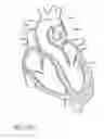 Fig. 92 - Nonstented temporary valve for cardiovascular therapy