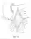 Fig. 09 - Method for Making a Bicuspid Pulmonary Heart Valve