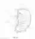 Fig. 05 - Expanding adhesive foam structure to reduce stomach volume