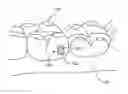 Fig. 01 - Polar attachment devices and method for a dental appliance