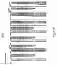 Fig. 15 - System and Method For Providing A Deferred Premium Annuity