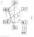Fig. 08 - System for the processing of information between remotely located healthcare entities
