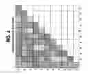 Fig. 05 - Parallel data processing architecture