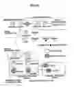 Fig. 09 - INFORMATION PROVISION SYSTEM AND INFORMATION PROVISION METHOD